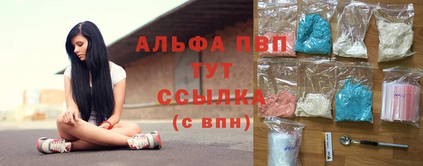 СК Алексин