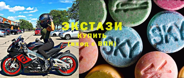 СК Алексин