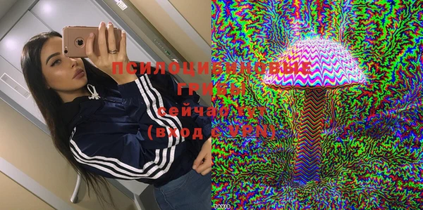 СК Алексин