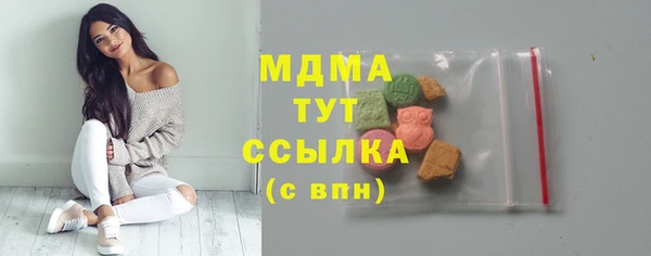 СК Алексин