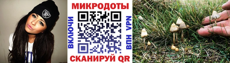 blacksprut как зайти  Чистополь  Галлюциногенные грибы GOLDEN TEACHER 