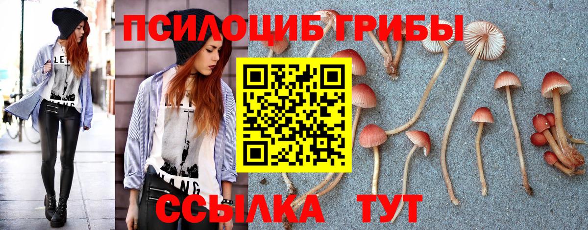 Псилоцибиновые грибы GOLDEN TEACHER Чистополь