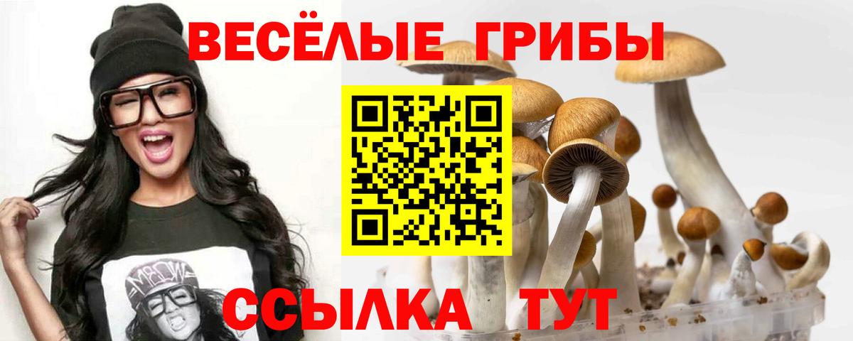 Чистополь  Псилоцибиновые грибы мицелий  Вход с VPN 